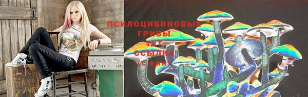 таблы Алзамай
