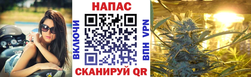 Бошки марихуана THC 21%  Томари 